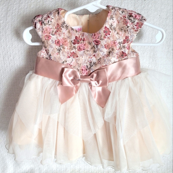 buybuybaby Other - NWOT Baby Girl Floral Dress